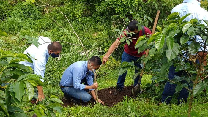 Más de 40 árboles fueron sembrados en Pereira en el día internacional de la protección de los bosques tropicales